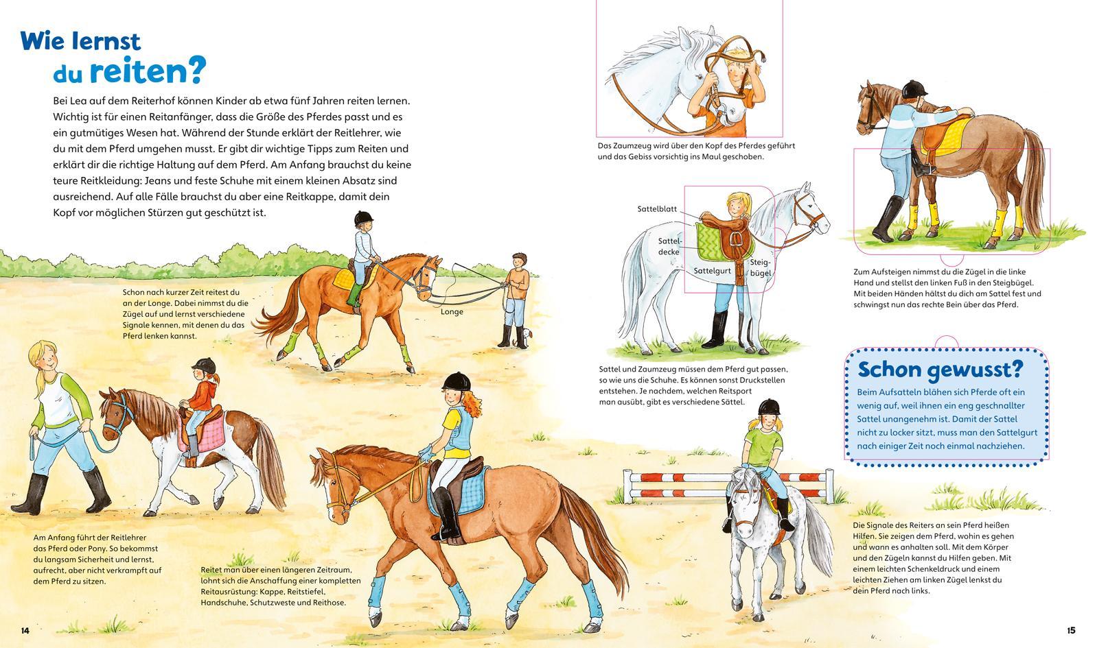 Pferde und Ponys / Was ist was junior Bd.5