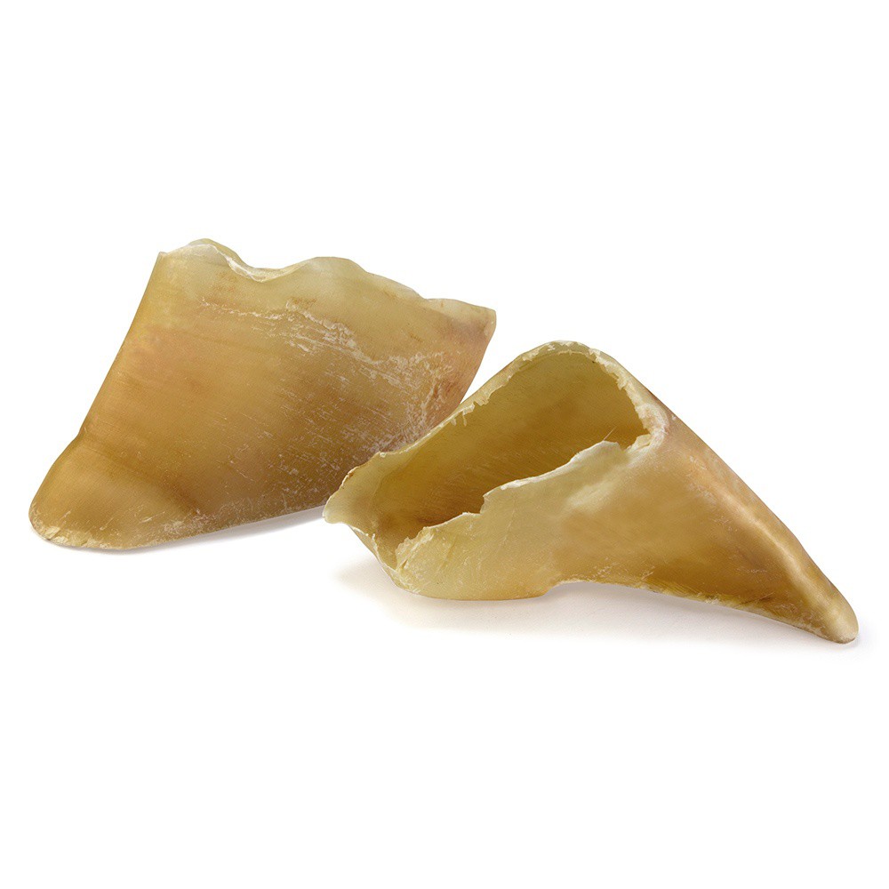 Casco de cachorro natural, sabor de carne