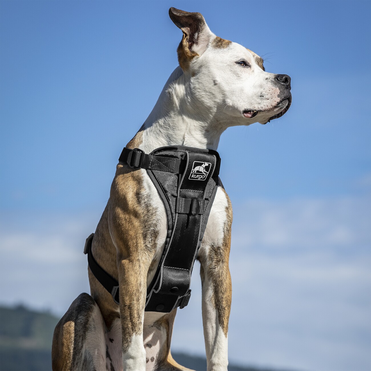 Kurgo Tru-Fit Smart Hundegeschirr XS