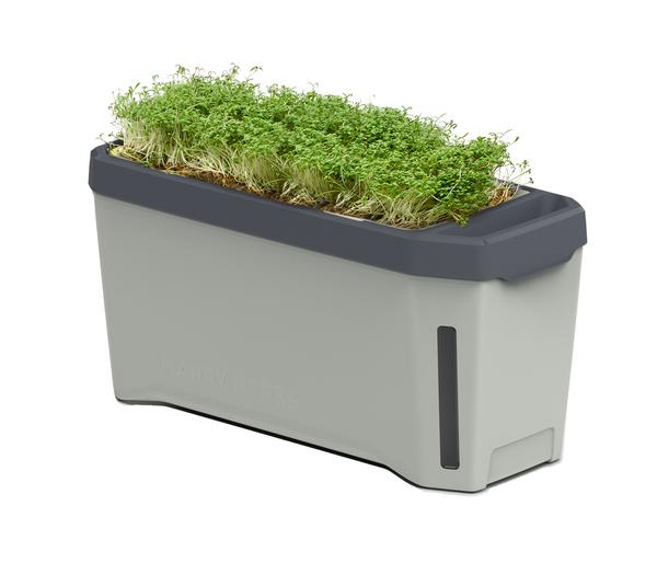 Gusta Garden Kräutertopf Harry Herbs, ca.