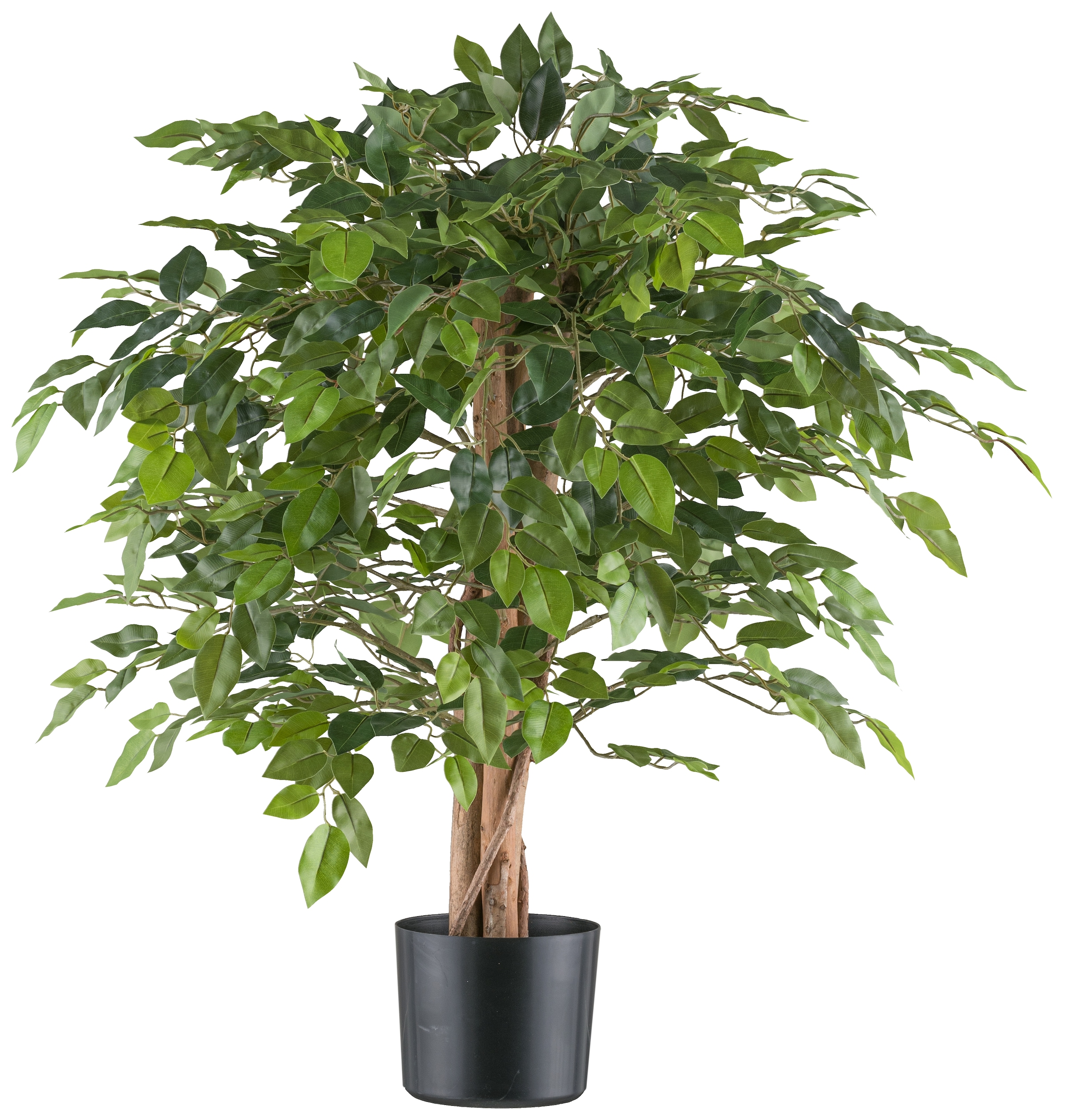 Creativ green Kunstpflanze »Ficus benjamina« mit Naturstamm