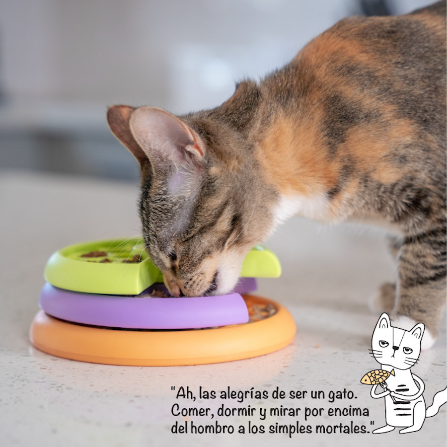 Outward Hound Catstages Nina Ottosson Kitty Lickin' Layers Alimentador Interativo para Gatos