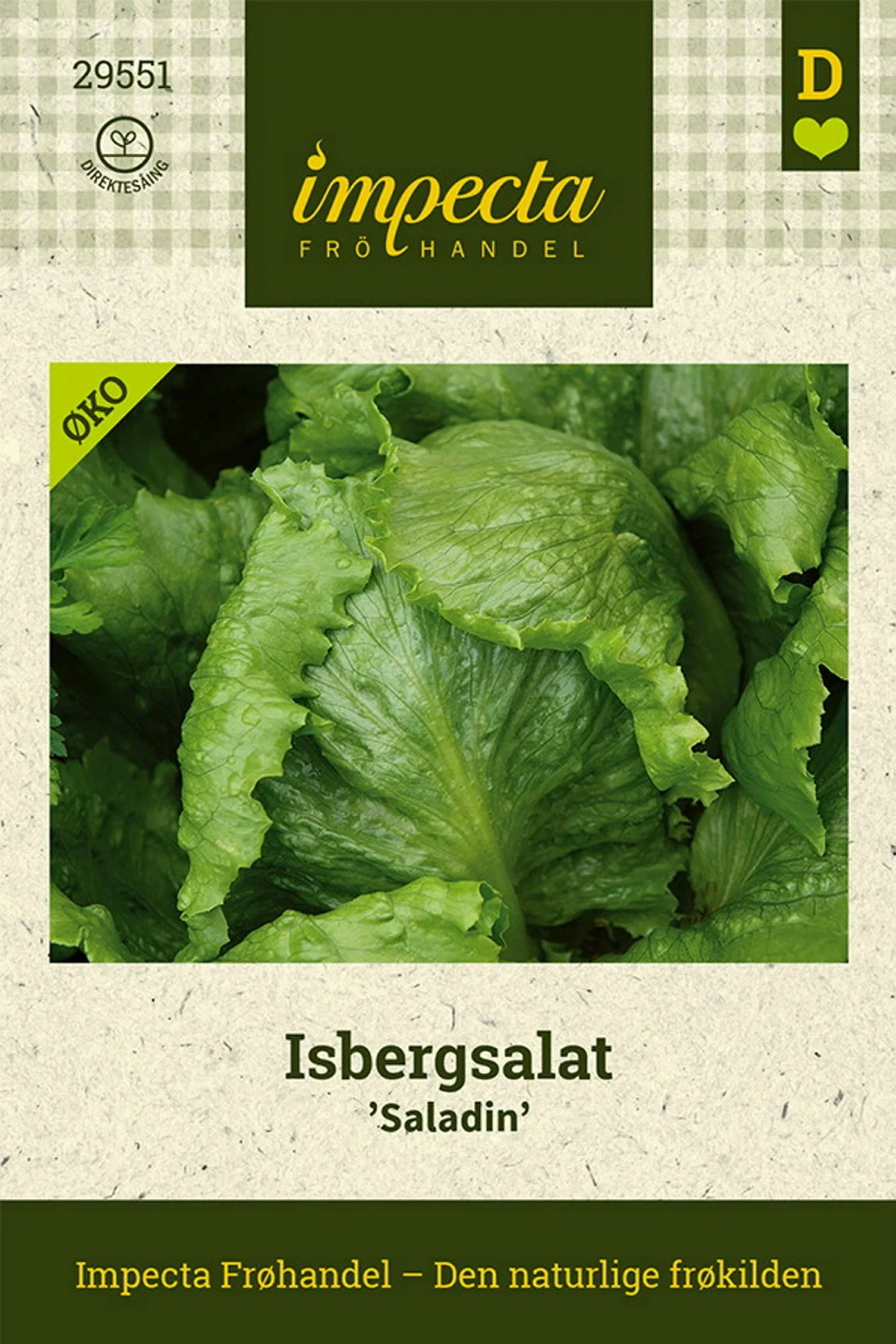 Lactuca sativa 'Saladin' Isbergsalat 'Saladin'