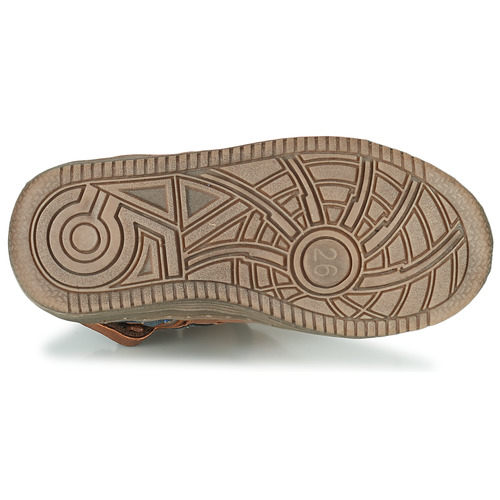 Kickers - LOWELL - Camel / Bleu