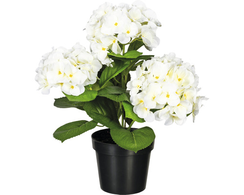 Kunsthortensia struik, hoogte: 32 cm, wit/zwart