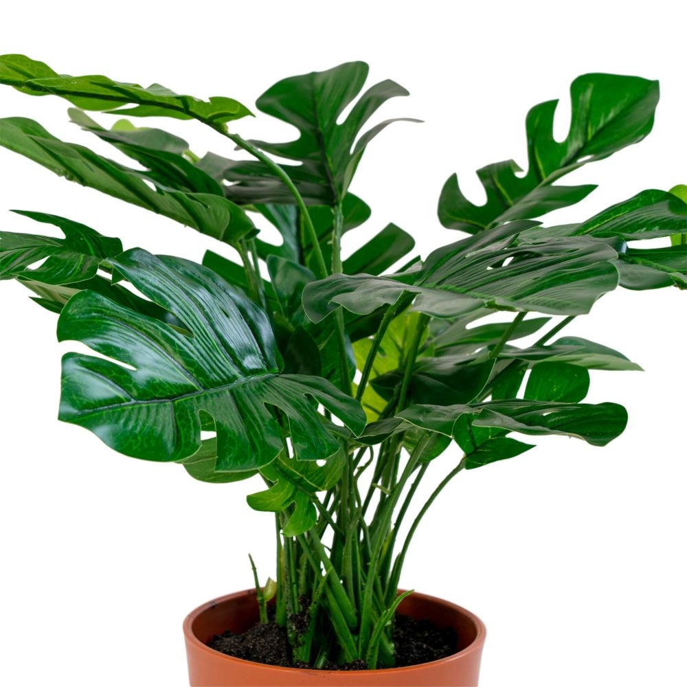 Monstera kunstplant Denise (45 cm) Kamerplant