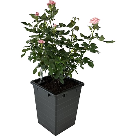 Homefarm 1 selvvandende plantekrukke