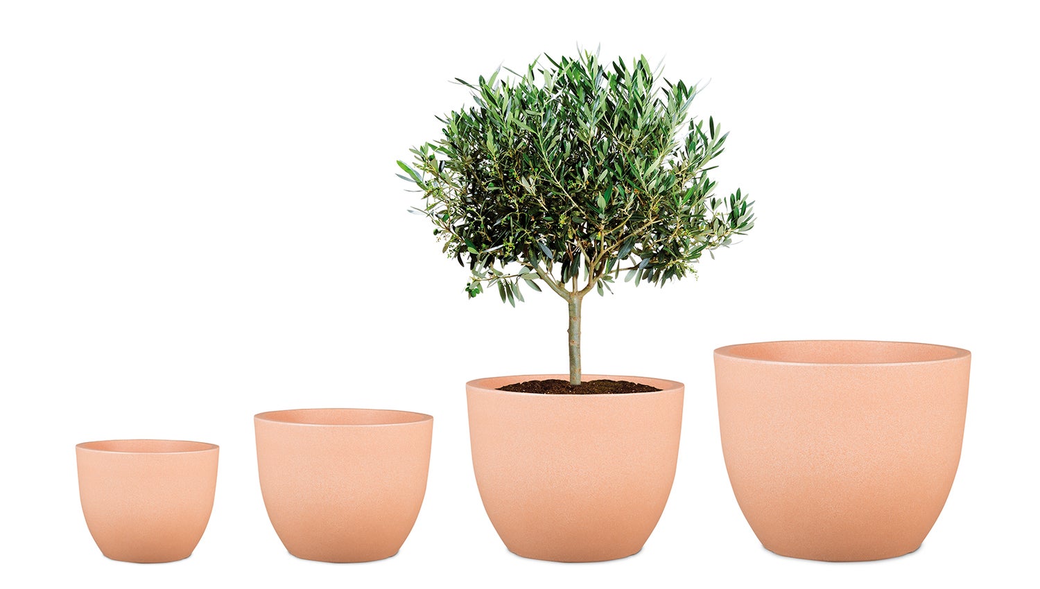 Scheurich Firenze 60, plantenbak/bloempot, rond, van kunststof, kleur: terracotta, diameter 59,5 cm, hoogte 45,8 cm, inhoud 85,5 l.