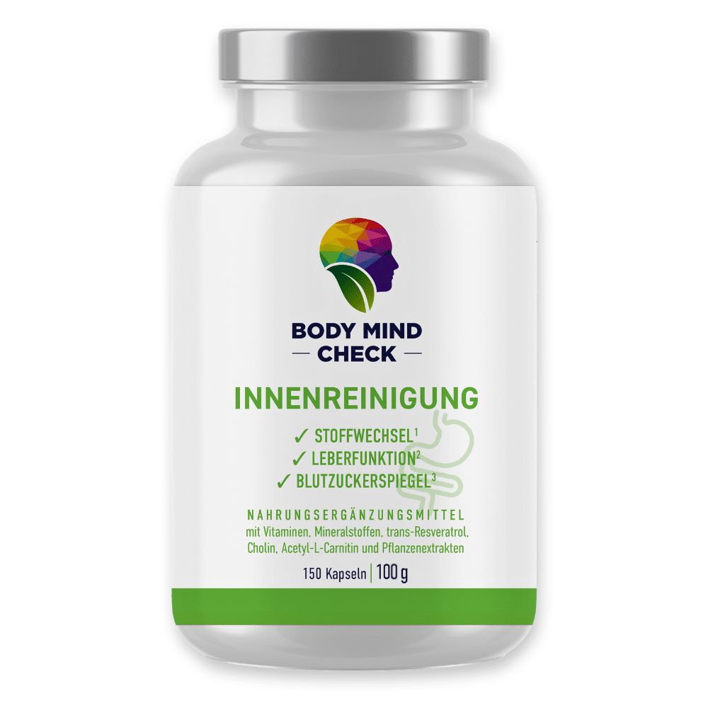 BodyMindCheck INNENREINIGUNG