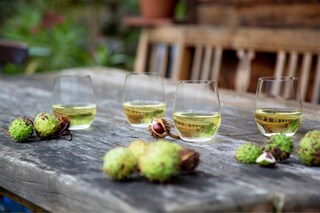 RIEDEL Weißweinglas THE O WINE 2er Set - je 320 ml