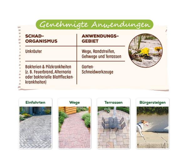 Solabiol® Grundstoff Acetum, flüssig, 3 l