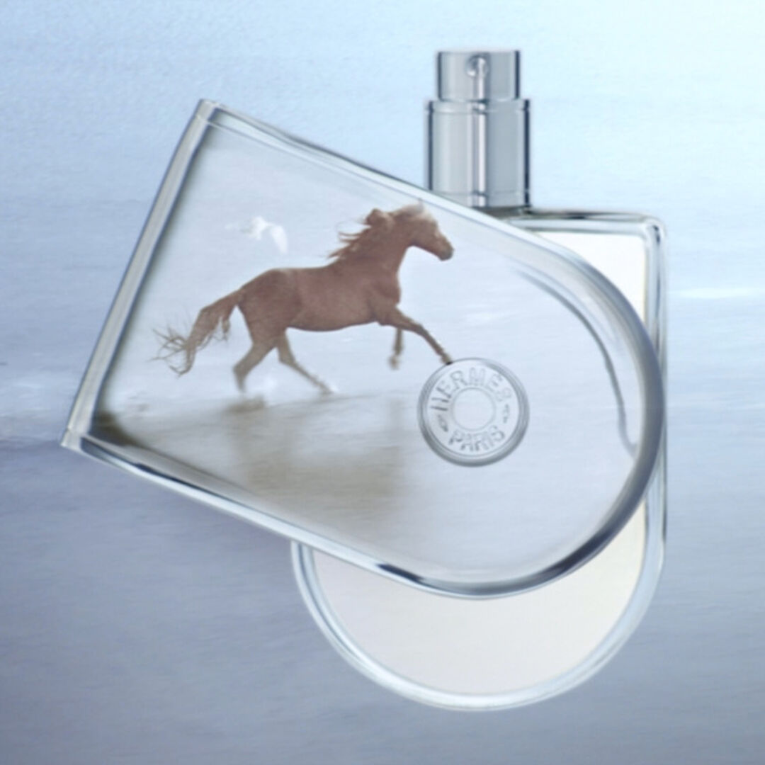 Hermès VOYAGE D'HERMES Recarga Eau de Toilette - 125ml