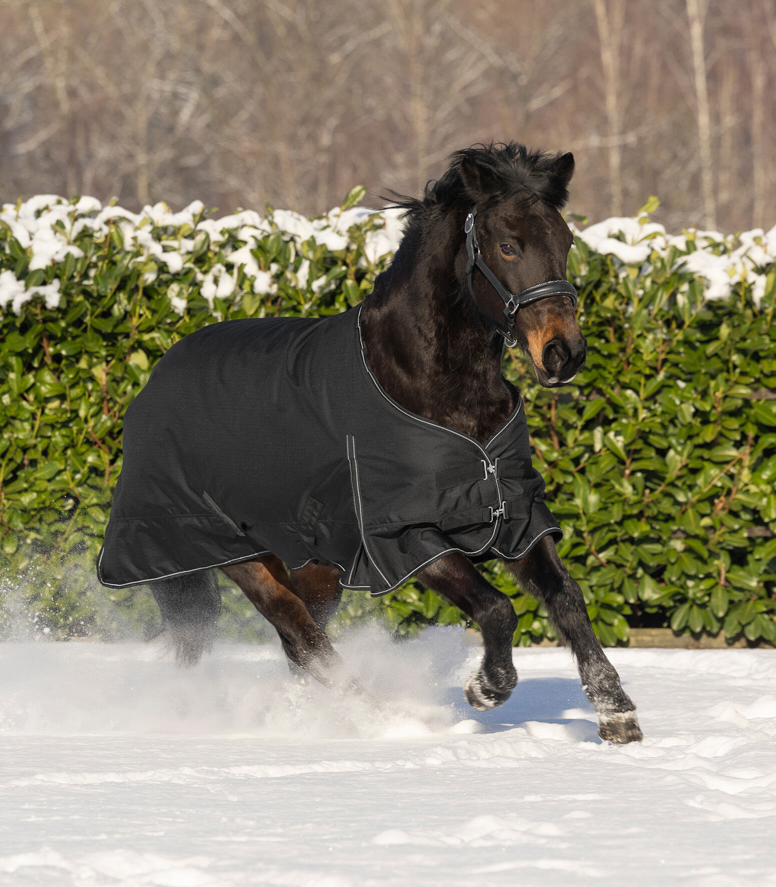 Waldhausen Nordic 300 gr - Winterdeken - Paardendeken - Zwart - 105/155