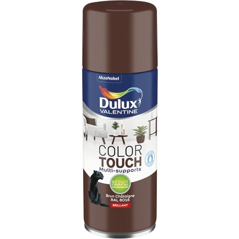 Bombe peinture 400 ml Color Touch Brillant - Brun Chataîgne