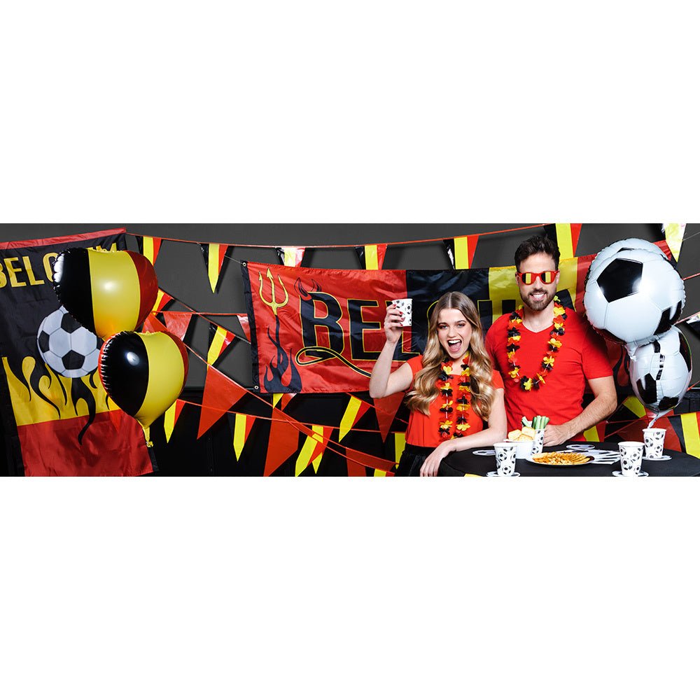 Vlaggenlijn Belgie 10m