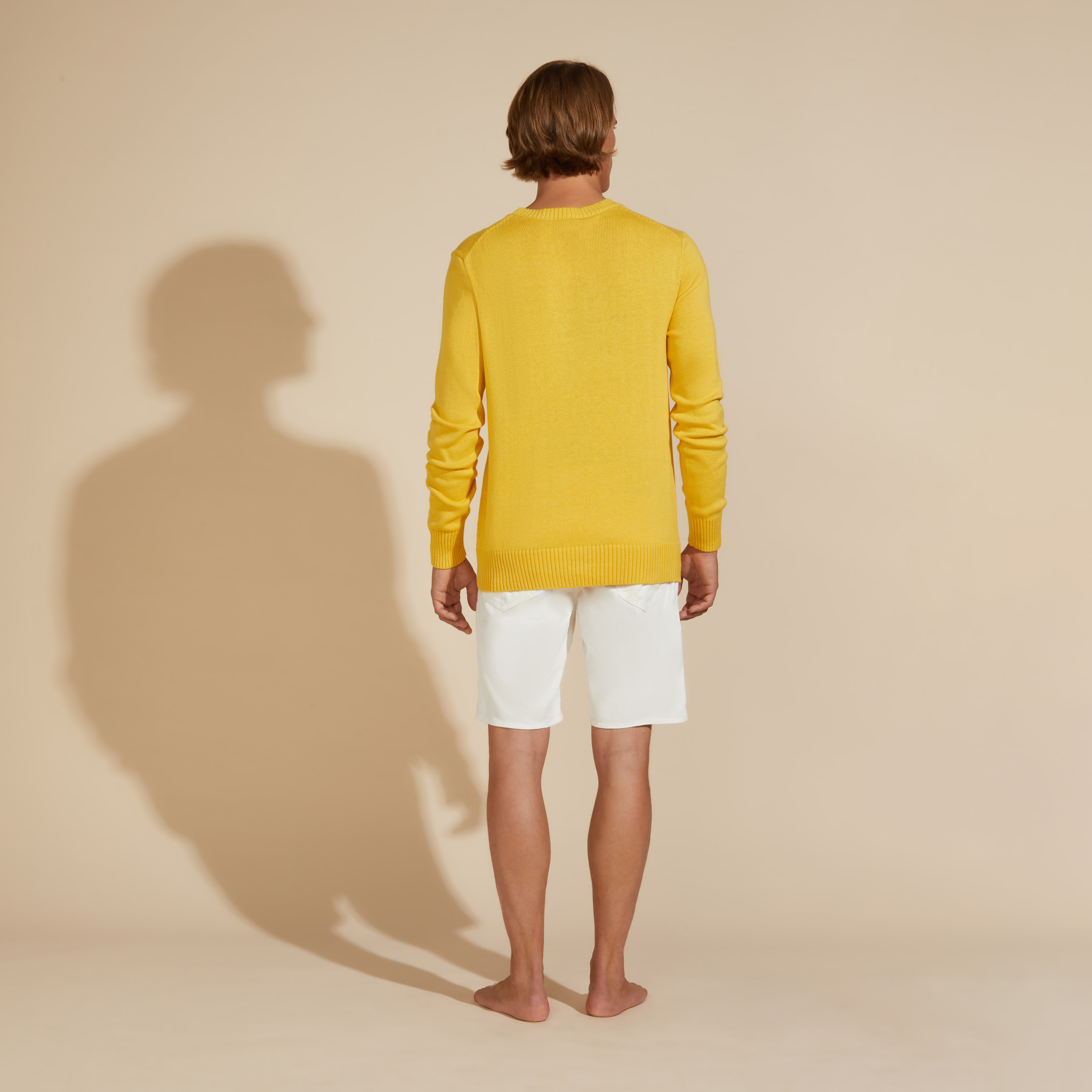 Pullover en Coton et Cachemire Ras-du-cou Homme Tortue