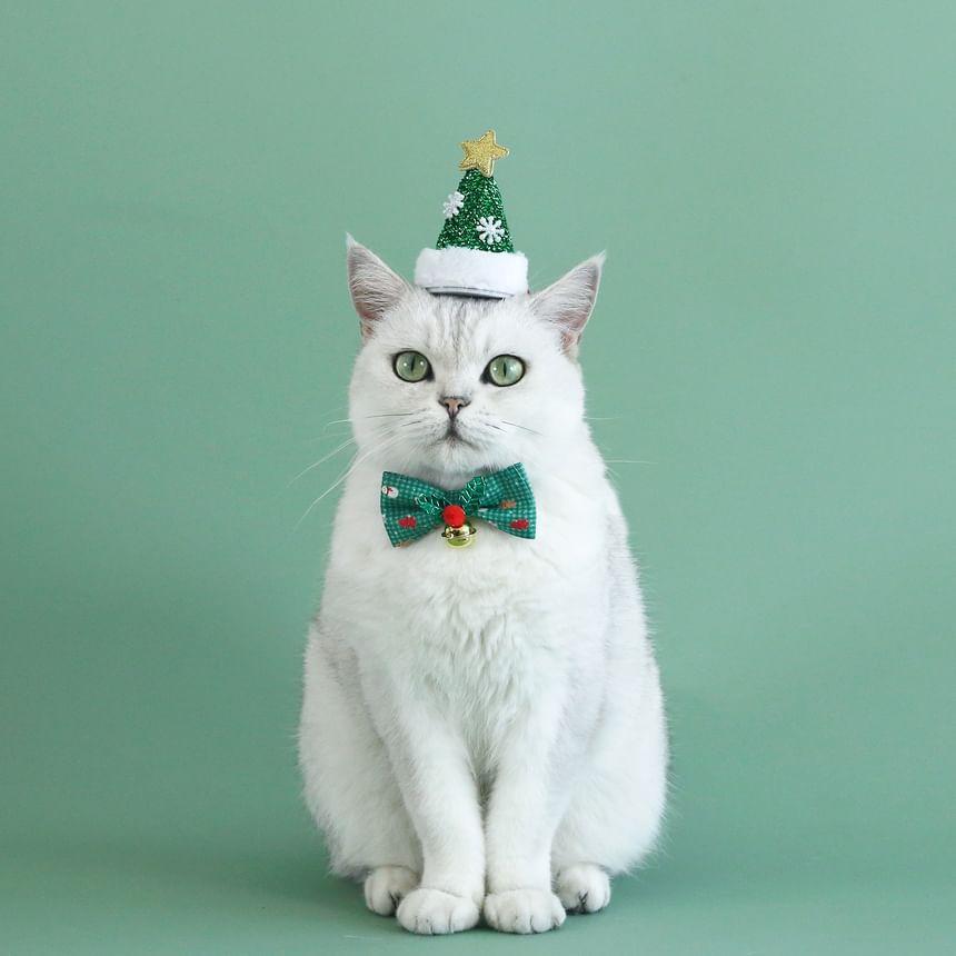 2night - Kerststrik huisdierhalsband / hoed / set (verschillende ontwerpen)