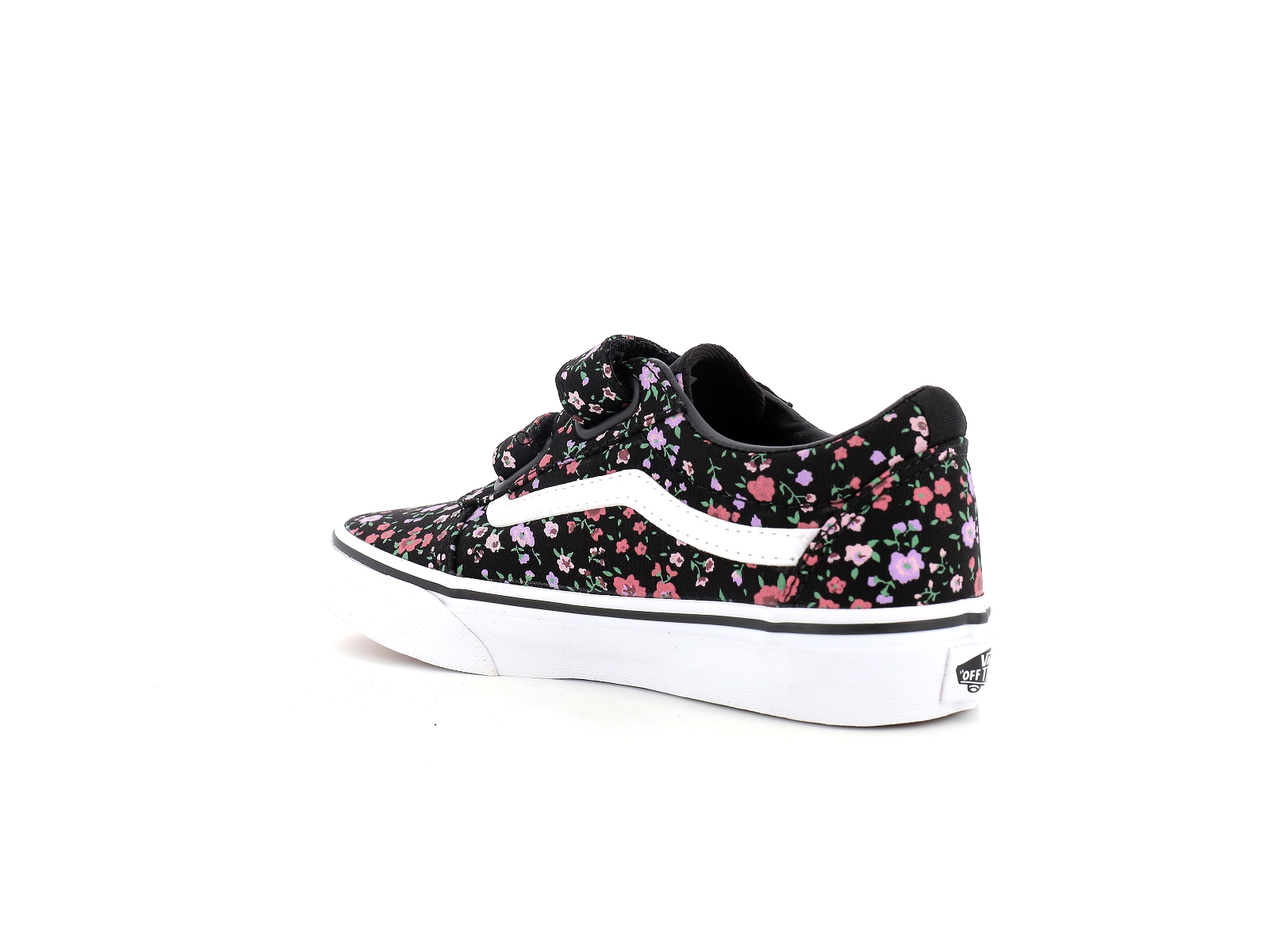 Vans-MY WARD V DITSY FLORAL Synthétique Noir Rose