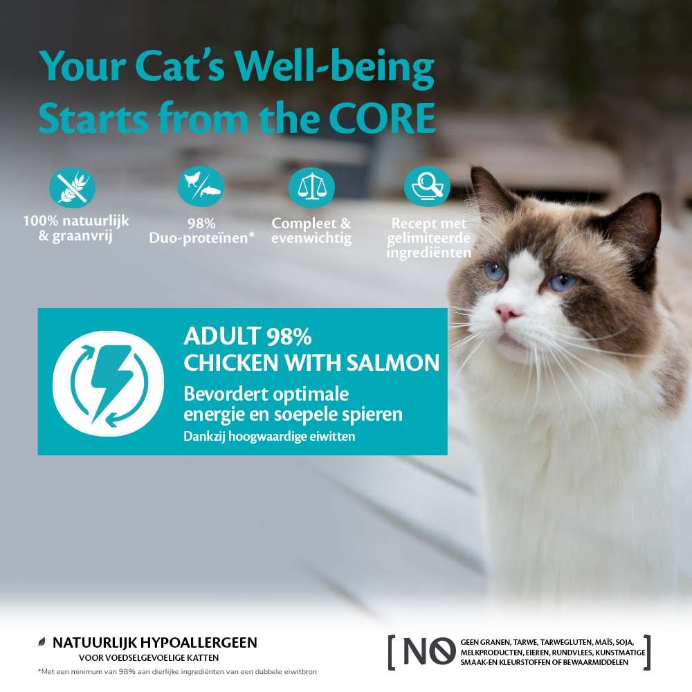 Wellness Core 98% Duo Protein - Kattenvoer - 85 Gram - zalm, kip