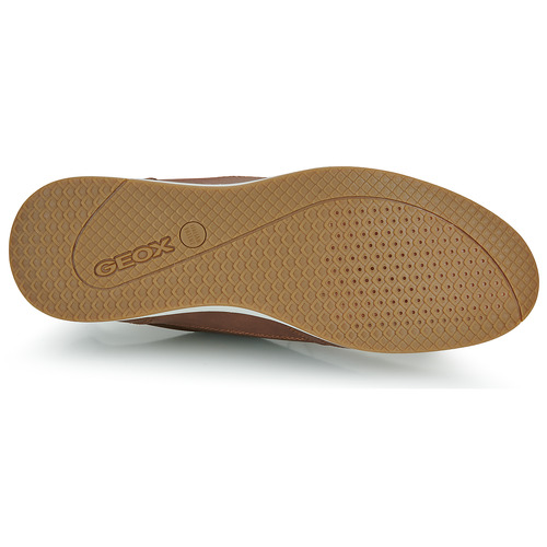 Geox - AVERY - Marron
