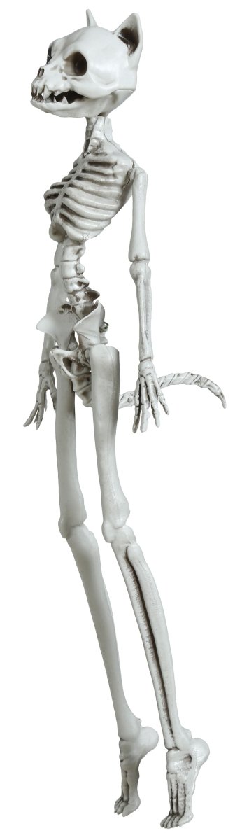 Halloween Skelet Kat 37cm
