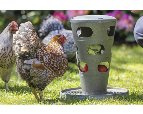 Kippenvoedertoren Beeztees grijs 30 x 30 x 36 cm gerecycled plastic