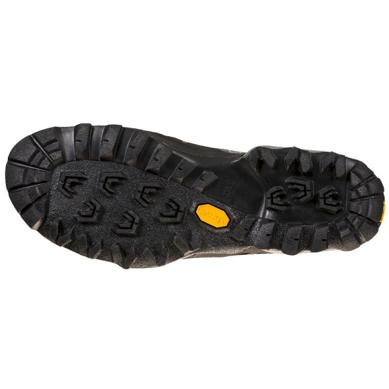 TX5 GTX - Chaussures trekking homme