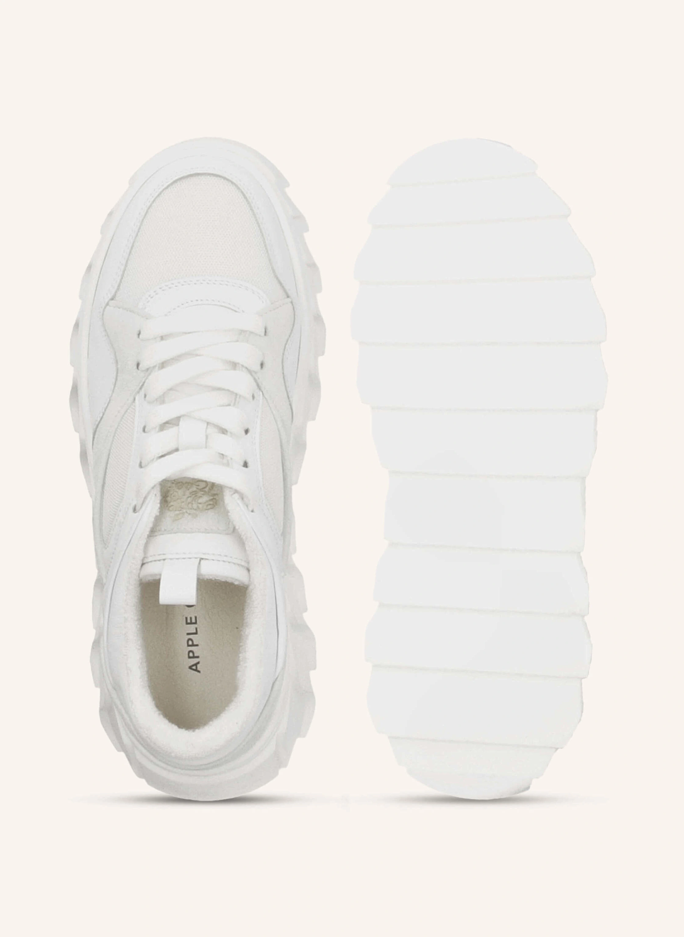 Apple of Eden Sneaker