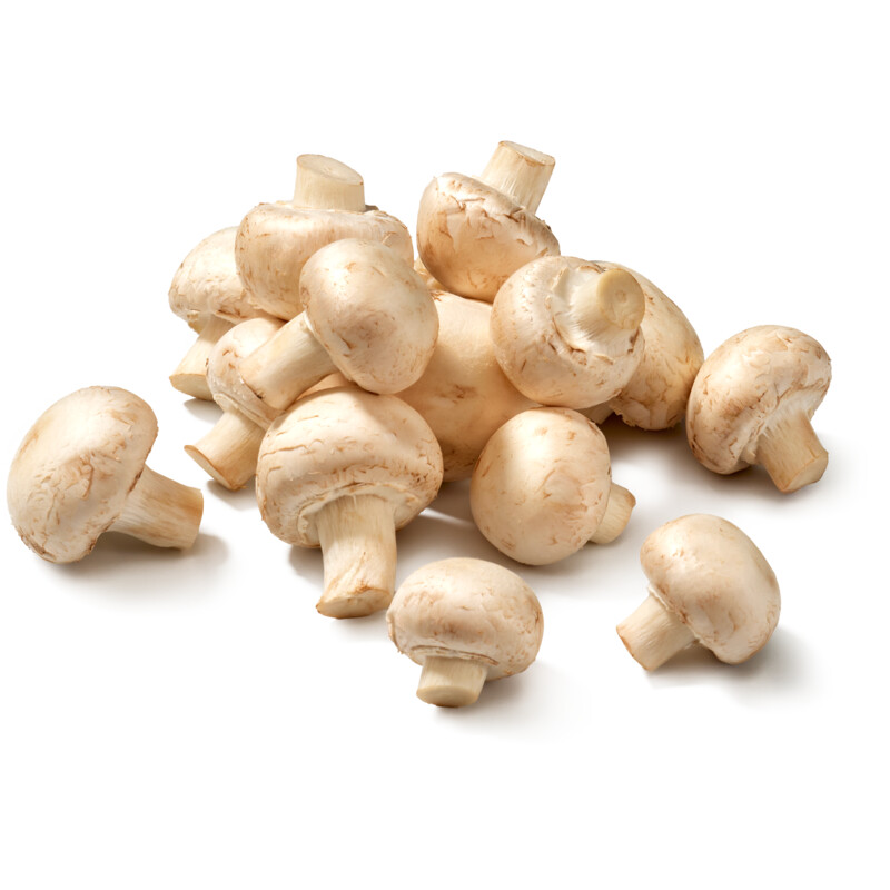 AH Witte champignons