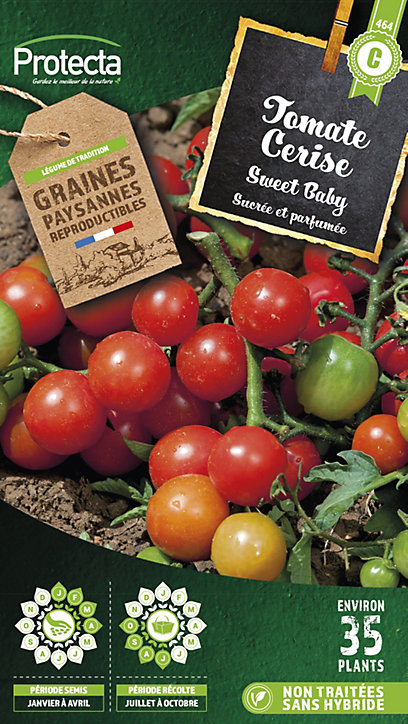 Graine de tomate cerise sweet baby Protecta
