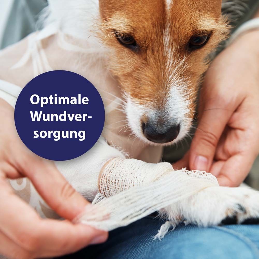 Canosept® Wundgel für Hunde 20 ml