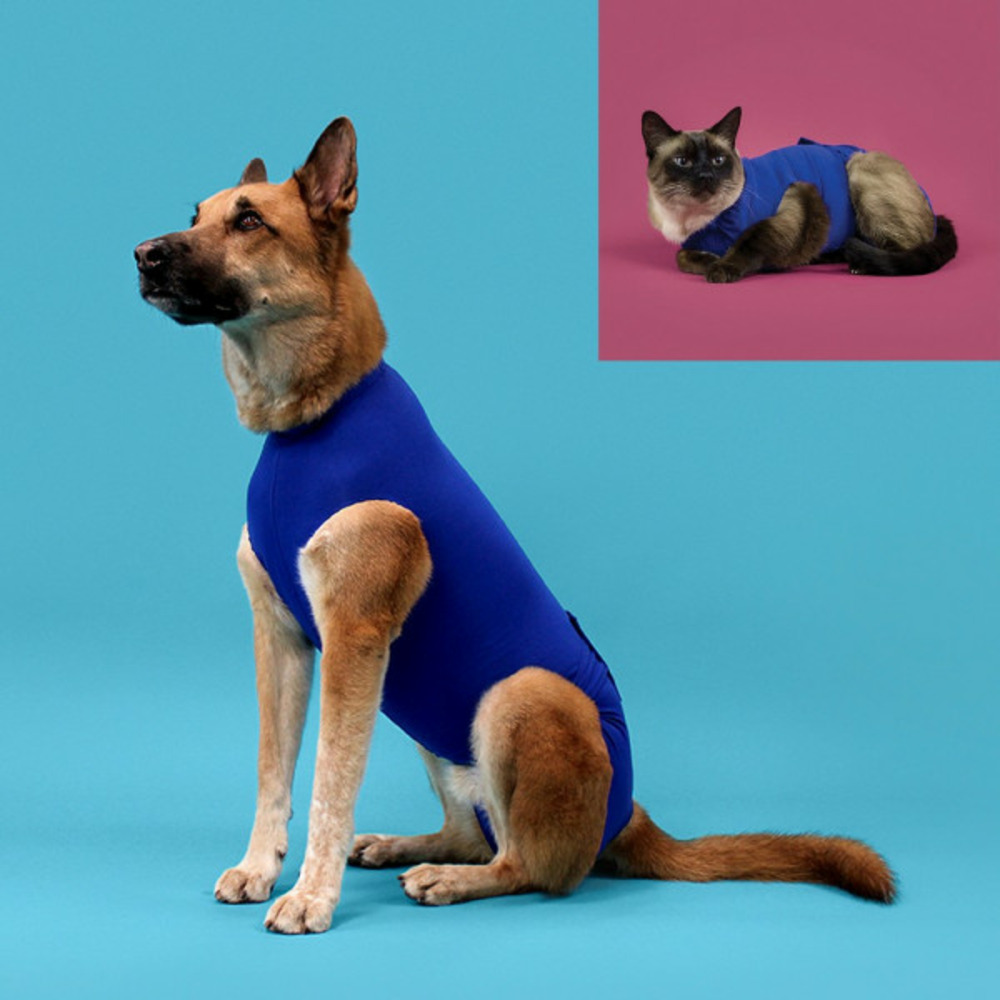 T-shirt de récupération pour animaux de compagnie bleu (25-29 cm)