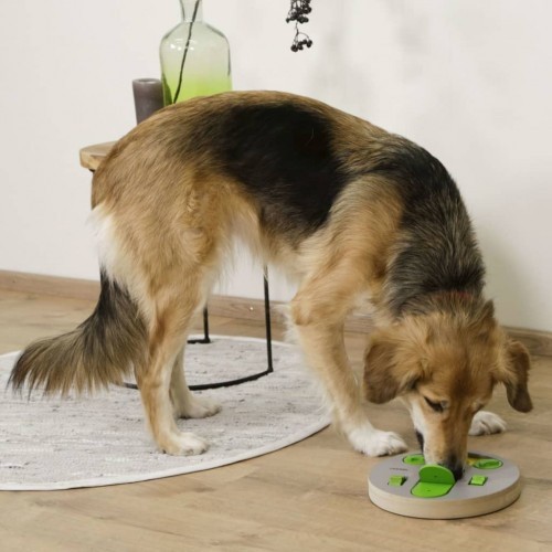 Brinquedo de Inteligência Facial para Cães, Cinza e Verde