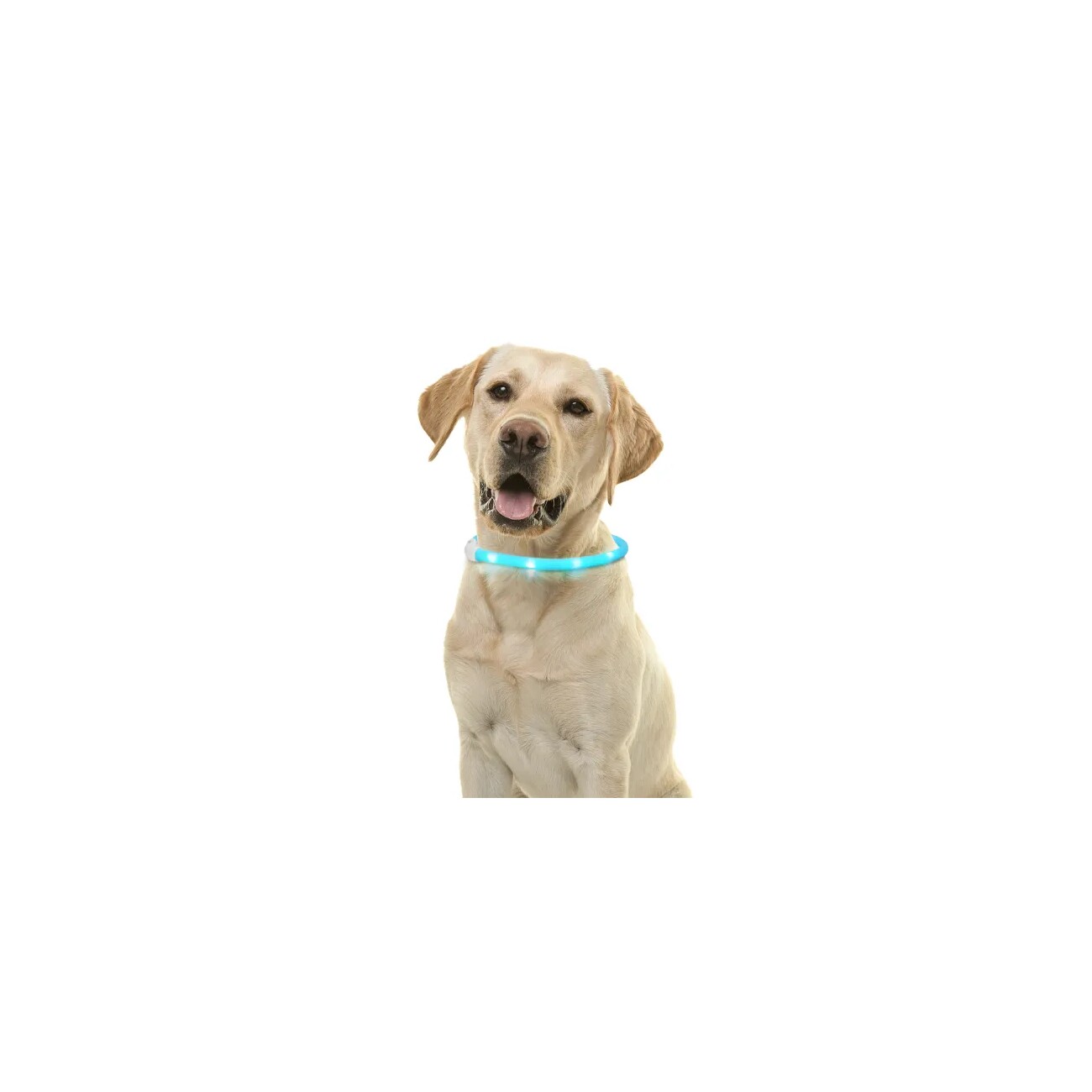 nobleza LED-Hundehalsband aus flexiblem Silikon – Zuschneidbar, Leicht, 3 Leuchtmodi grün
