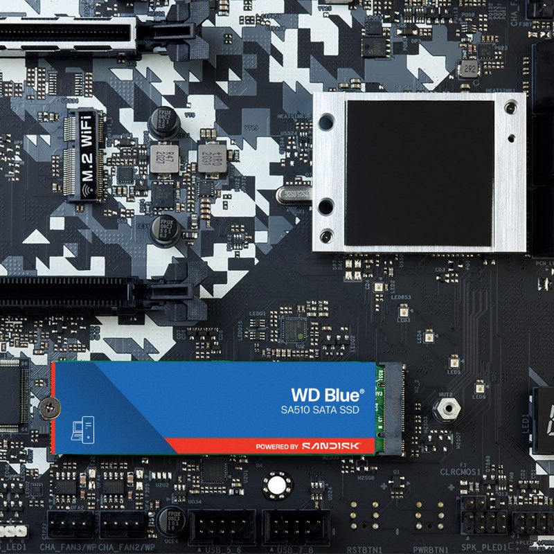 Western Digital Blue WD SA510 1 To M.2 Série ATA III