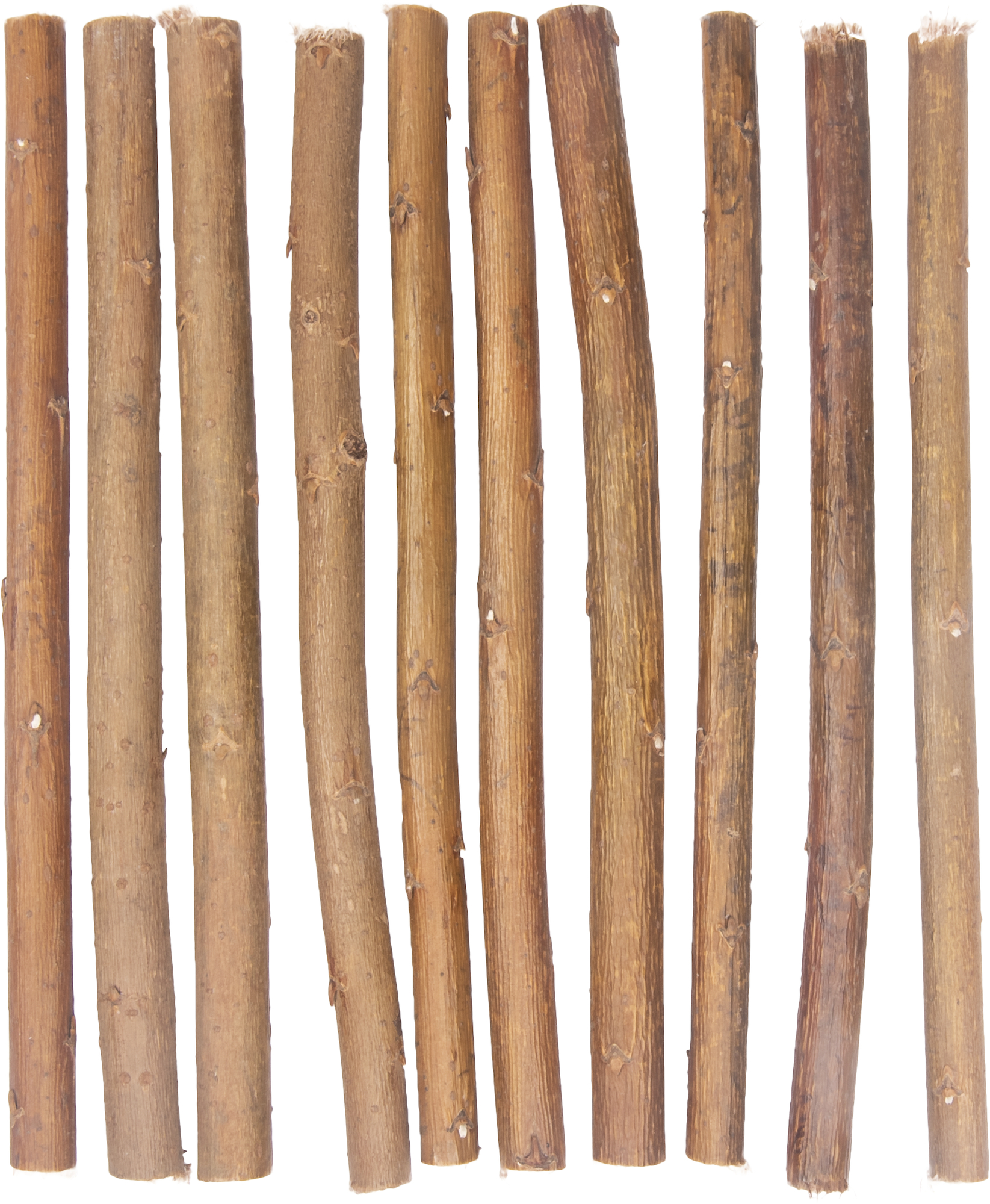 Flamingo f-100107 - Bâtonnets de Saule pour Perroquets Gourmands