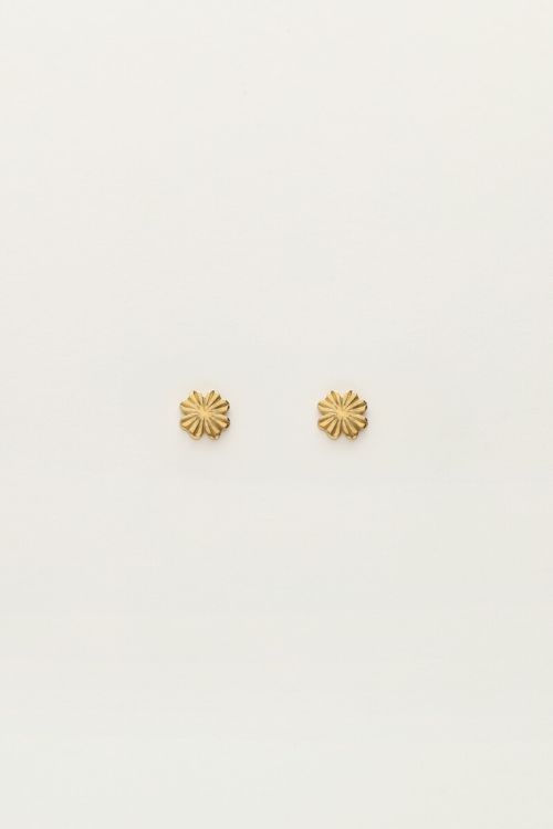 Studs klaver bloem