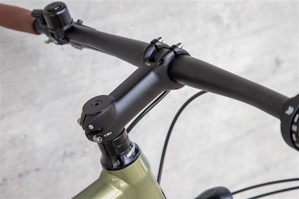 DAILY QUEST Pinion City- und Alltagsvelo  grün  48 CM