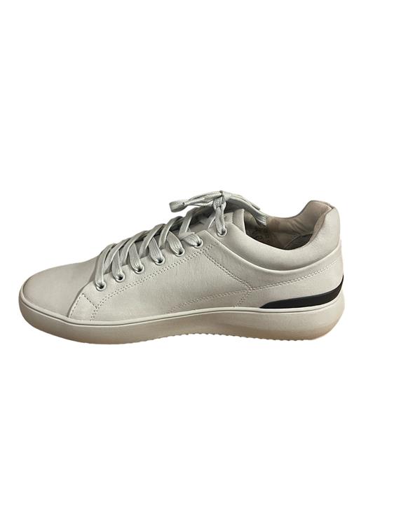 Blackstone BG160 Grijs