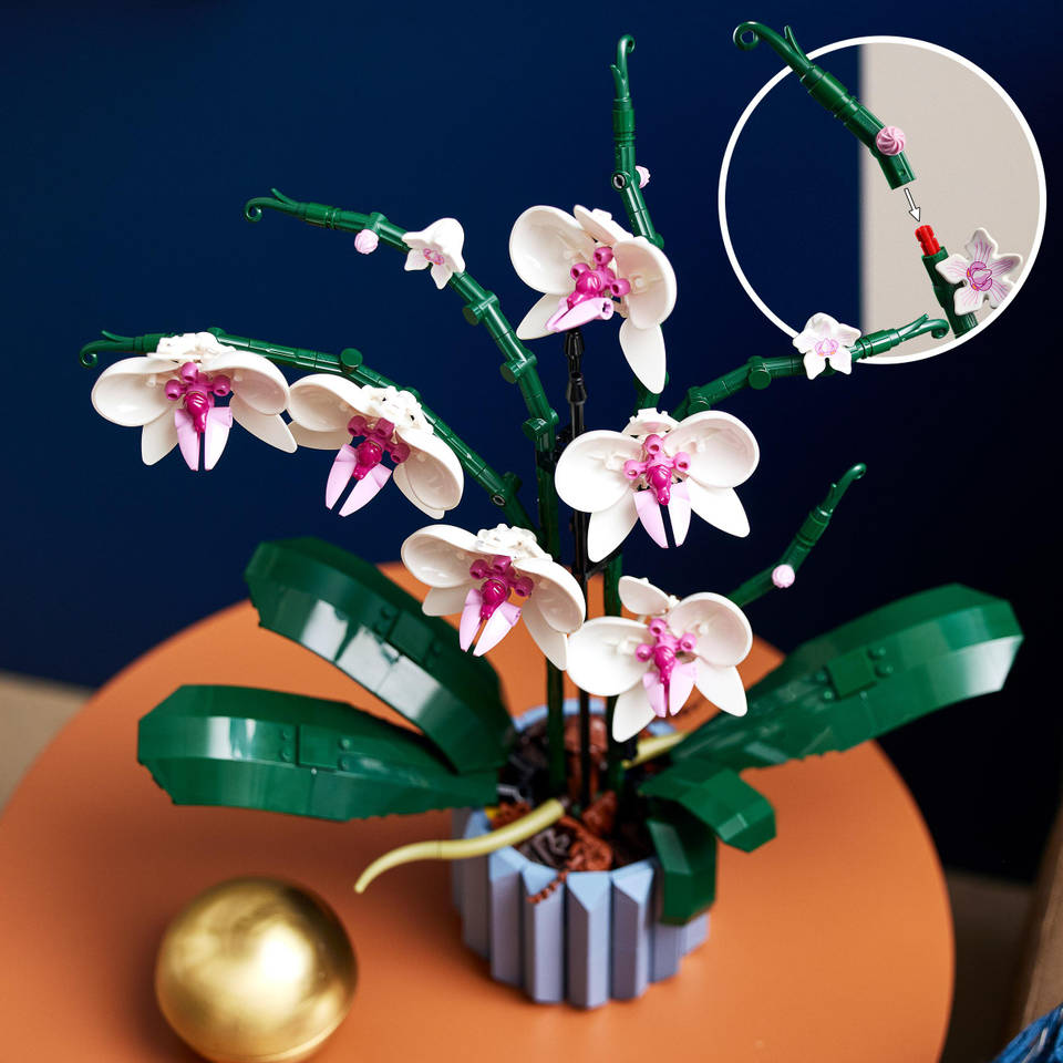 LEGO Botanicals orchidee 10311