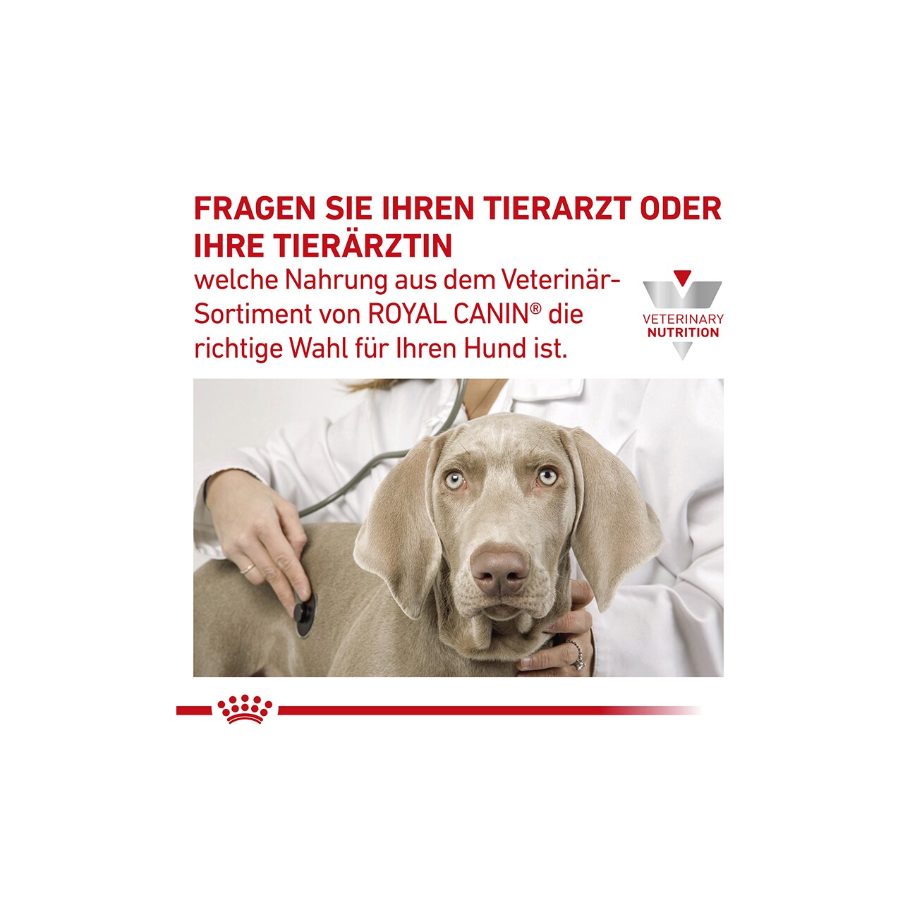 ROYAL CANIN Veterinary Gastrointestinal Low Fat Small Dogs 1,5 kg