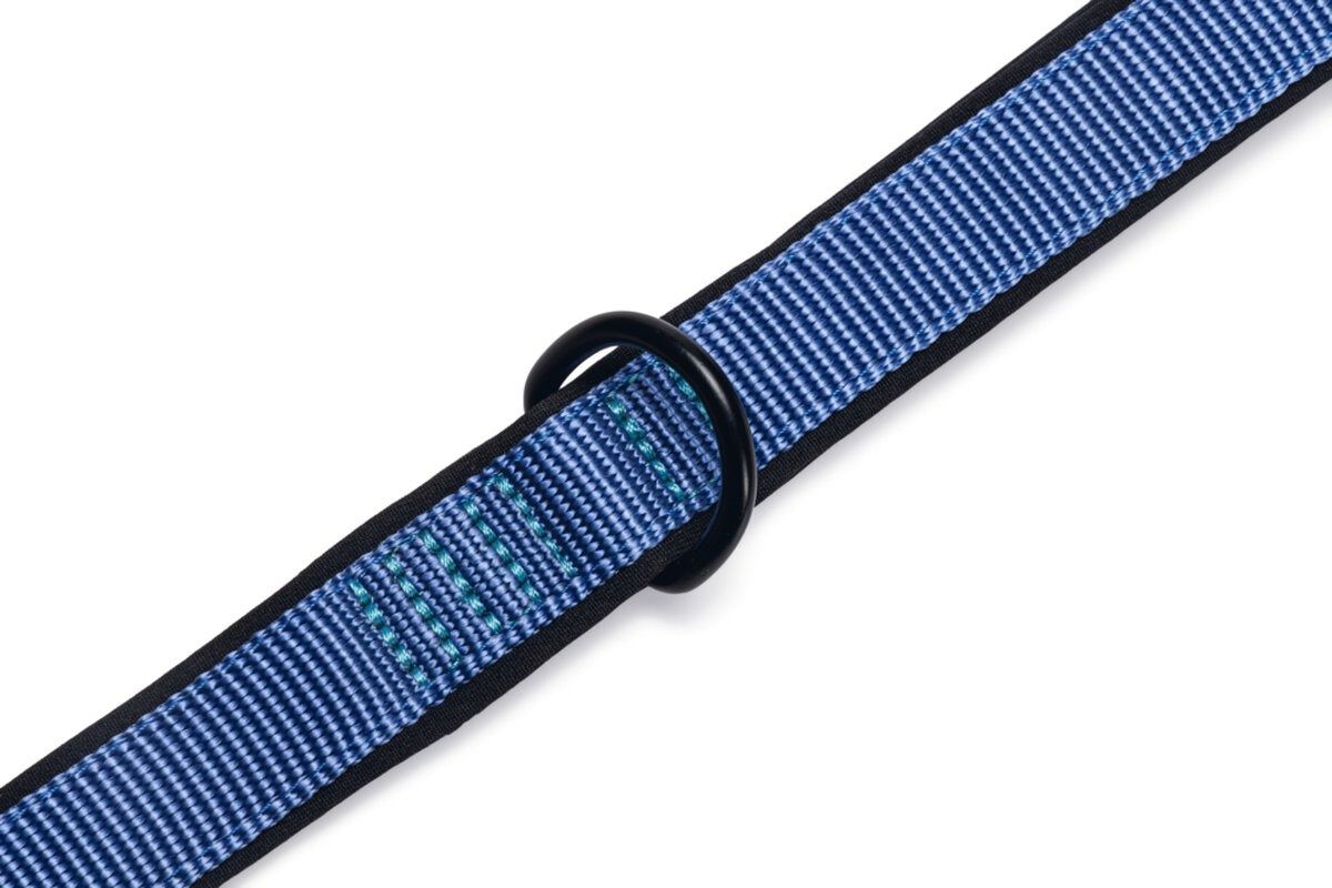 Beeztees Parinca Hondenriem - blauw - 2 cm - 300 cm