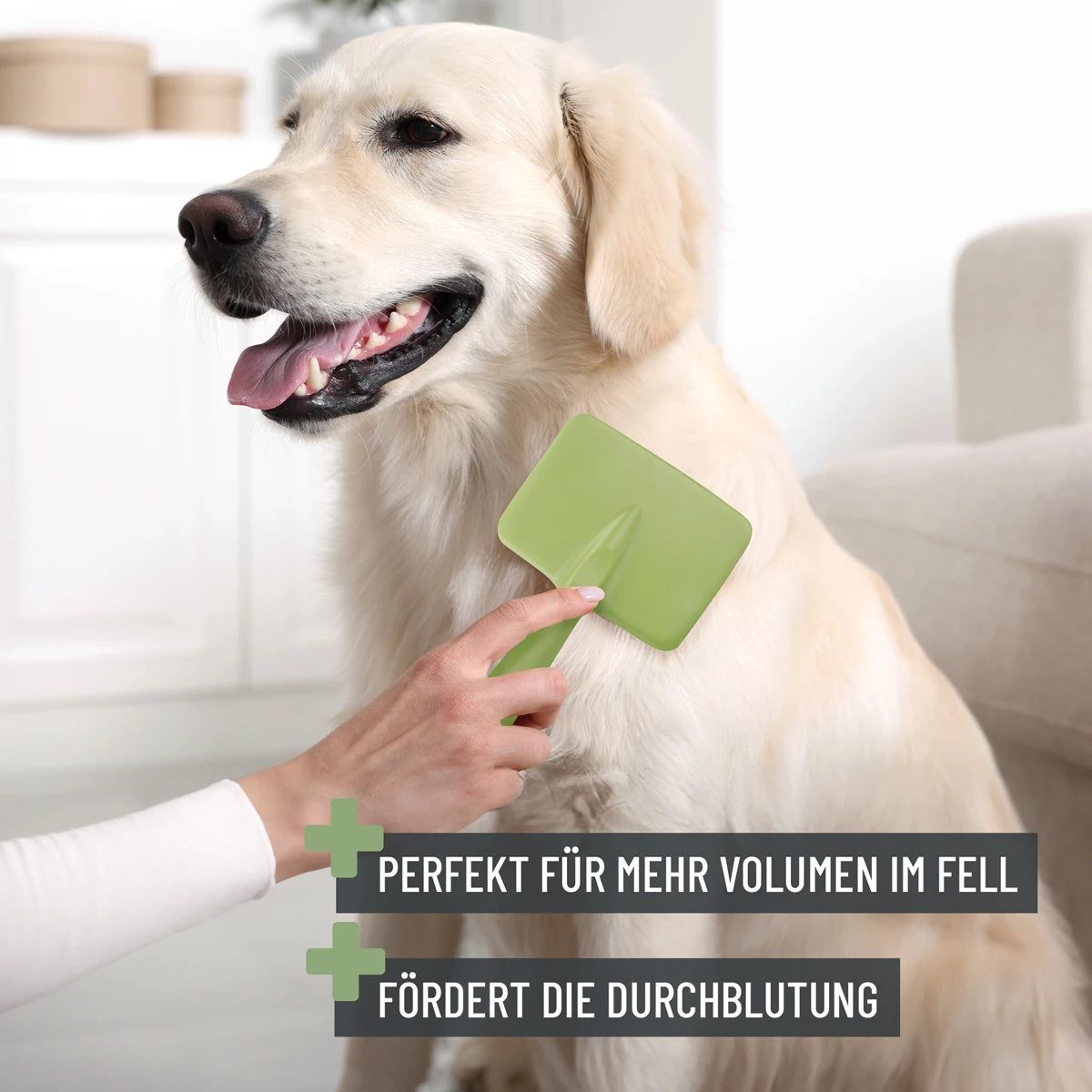 Zupfbürste - ReaVET