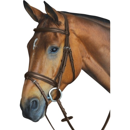 Pulseira de couro Collegiate Comfort Crown com fecho de pressão, marrom