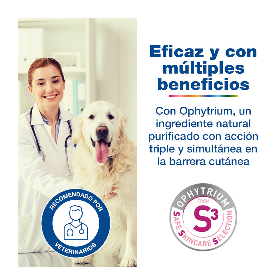 Shampoo Douxo S3 Calmante para cães e gatos