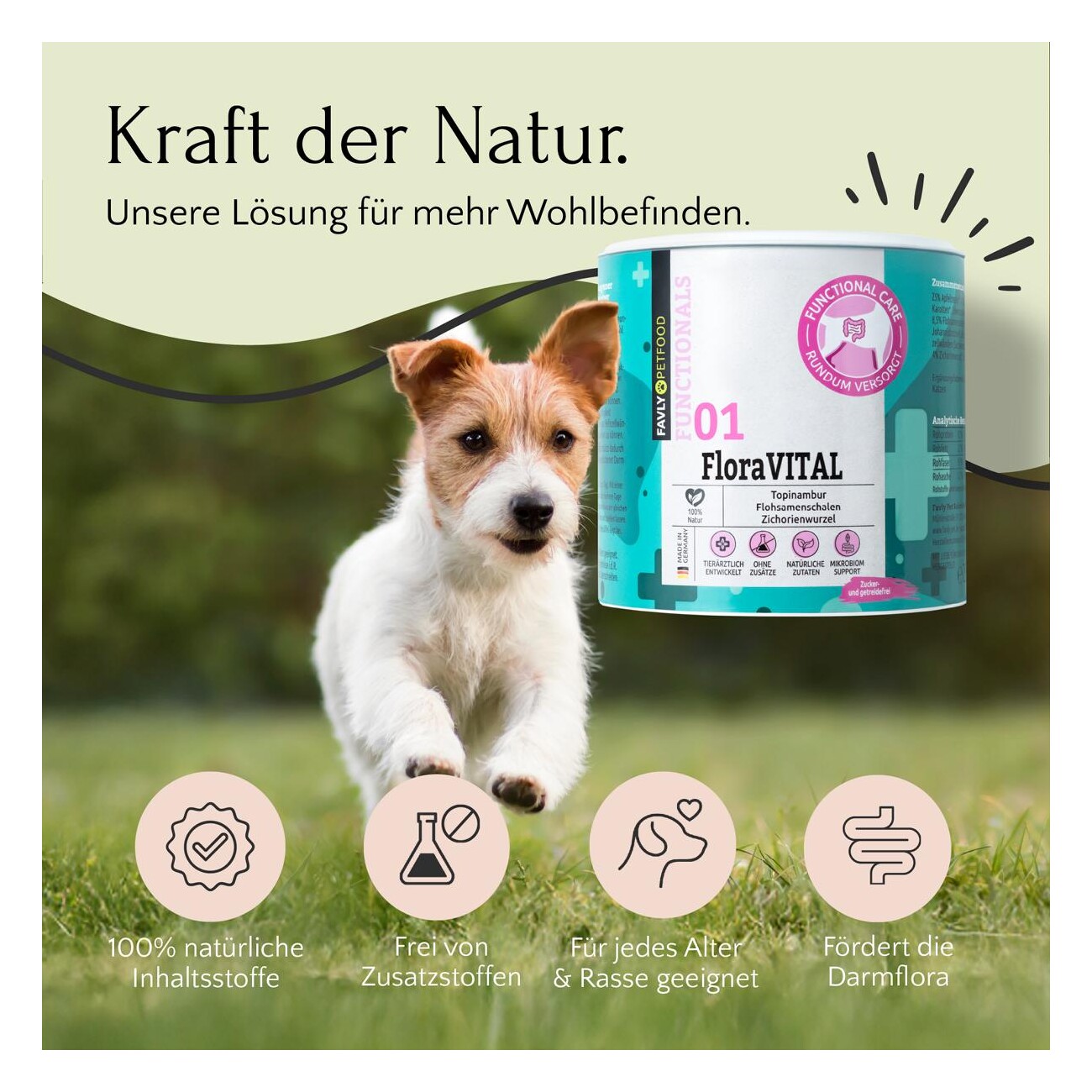 FAVLY Petfood FloraVITAL - Darmaufbau