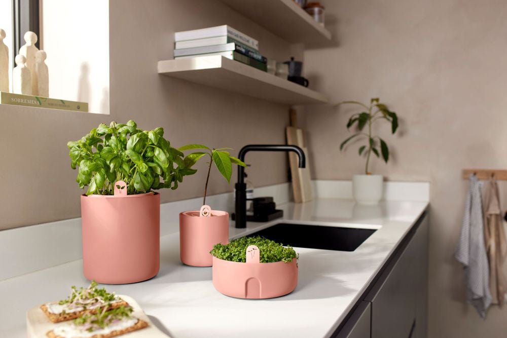 Elho kweekpot Bouncy Basil terracotta D 16,5 H 21 cm