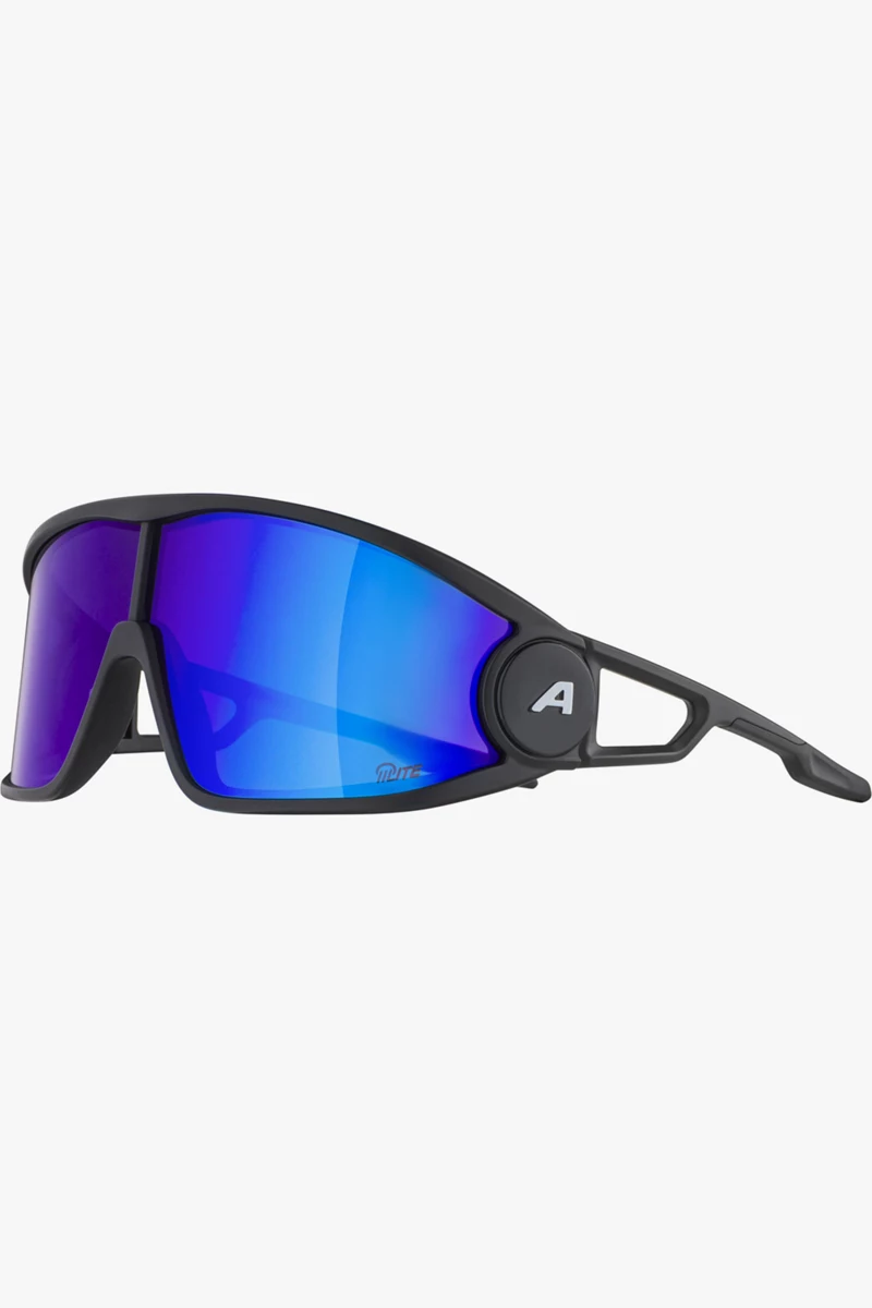 ALPINA Legend Sportbrille