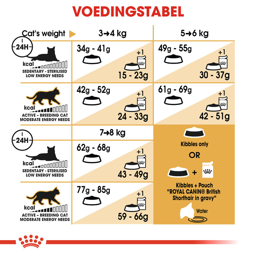 Royal Canin British Shorthair Adult - Kattenvoer