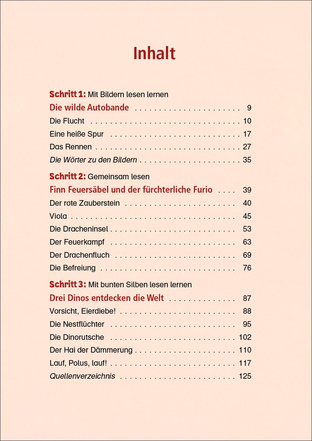 Lesenlernen in 3 Schritten - Die schönsten Abenteuergeschichten